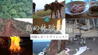 動画のサムネイル