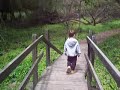 Nature Walk 2