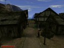 Gothic II - Lady Pank 