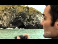 Wildlife on the Otago Peninsula in Dunedin - YouTube
