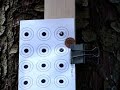 Daystate Airwolf 3 shot group .177 Air Arms Diabolo 4.52 Daystate Airwolf 3 shot group .177 Air Arms Diabolo 4.52