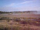 Clarenville Dragracing