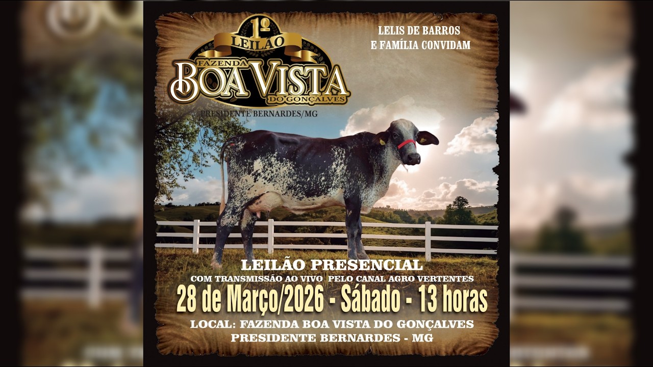 1º LEILÃO FAZENDA BOA VISTA DO GONÇALVES - PRESIDENTE BERNARDES/MG - 28/03/2026