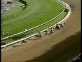 Funny Cide - 2003 Kentucky Derby