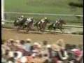 Funny Cide - 2003 Kentucky Derby