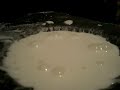 A Non-Newtonian fluid, so named because it's properties cannot be described in terms of the concepts of classical fluids, can be created easily in the home. This example is a mixture of corn starch and water, roughly 10 parts cornstarch to 1 water.When stress is applied to the liquid it exhibits properties of a solid. Especially interesting is the reaction when it is disturbed at certain frequencies. Using a frequency generator and a subwoofer, the tub of fluid was placed on top of the subwoofer's hole, which is emitting sound at 50 hz.