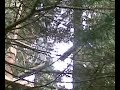 acropark 9