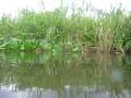 videos de Tucuna 2 kl