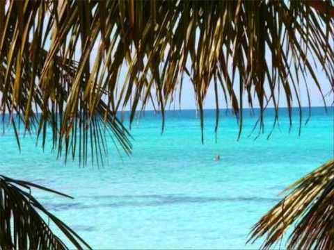 Saona - La promoción oficial del tour mas esperado del verano 2010: Sunny Bookings goes ISLA SAONA! El Sabado 5 de Junio nos vamos y nadie se va a quedar. El tour te...