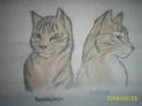 HQ PLEASE!!! -X- This is a video about Harkfrost and, in a way, Brambleclaw. Hawkfrost is supposed to be the one singing the song, so when it says 'I' it's Hawkfrost, and when it says 'you' it means Brambleclaw. -X- Song: The Kill, 30 Seconds To Mars Pictures: deviantart.com NOTHING BELONGS TO ME!!