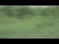 450cc dirt bike