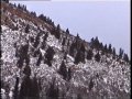 Click here to watch this video Aspen Roy