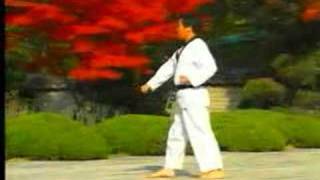 taekwondo poomse 2