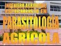 Universidad Autonoma Chapingo I