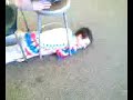 Nybo Crawling Under Stool... the challenge Nybo Crawling Under Stool... the challenge