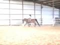 videos de WCR-LegacyOfKings