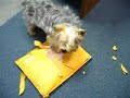 Opening my Pressie from Aunt Shelly I