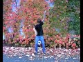 Man lebt nur einmal - Diabolo Video Man lebt nur einmal - Diabolo Video