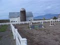 awesome white pony jumping