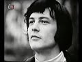 Kamenožrout zelený