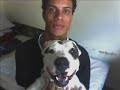 os pit bull