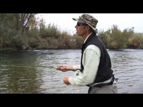 how to snap t spey cast