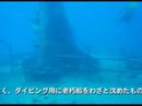FUJI treasure Island 4 FUJI treasure Island 4