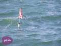 Diving for Scallops
