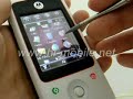 Motorola A810 Fully Unlocked (www.hi-mobile.net)