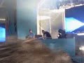 D-Block & S-Te-Fan playing ... - ....