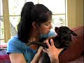 Sidekick 3 - Sarah Silverman