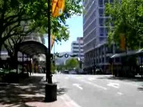 Dunedin City