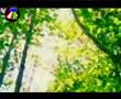 Wael Kfoury - Saalouni