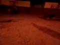 volantin a una becerra