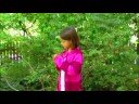 Wildwood Flower Music Video