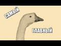 Самый главный гусь! (The goose of it all)