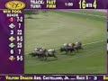 Jockey Jeremy Rose - Six Month Suspension - Head On View
