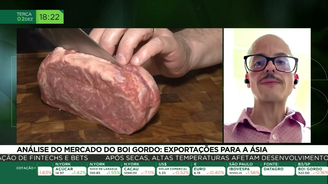 Análise do mercado do boi gordo: exportações para Ásia