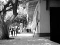 Workers (Trabalhadores) part 2