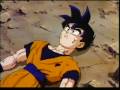 DBZ - The Last Night