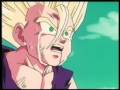 DBZ - The Last Night