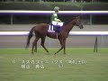 ?????42????????S?42nd Sprinters Stakes? ?????42????????S?42nd Sprinters Stakes?