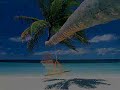 simple plan vacation  chipmunk 