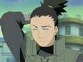 You Are The Music In Me ShikaTema~♫