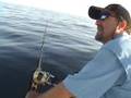 Sailfish, Mutton, Grouper, almaco jacks and Kingfish The wild world of sports fishing with Joe Novo