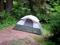 My campground in the Redwood National Park