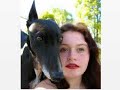 The greyhound Song