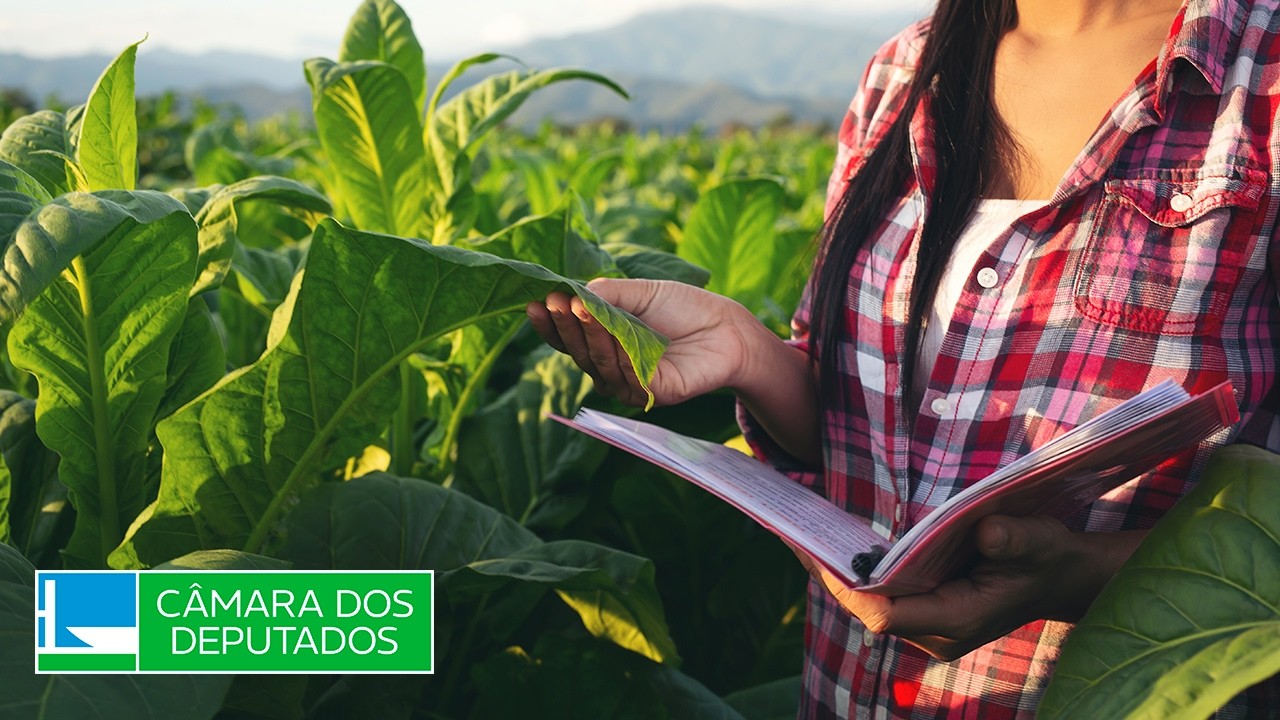 Votação de indicações às programações da LOA 2026 - Agricultura e Pecuária - 02/09/2026
