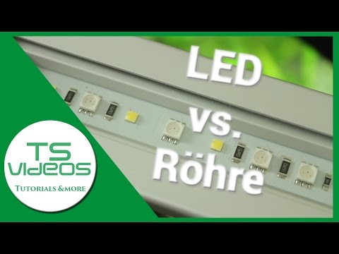 Aquarium Beleuchtung - Röhre vs. LED  Vor- und Nachteile - TSVideos