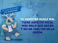 El reno Renardo - Tu hamster - Karaoke2 El reno Renardo - Tu hamster - Karaoke2